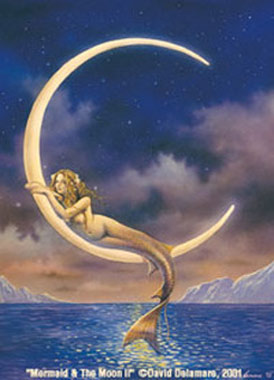 Mermaid Beauty Skin Care Seaweed C Serum